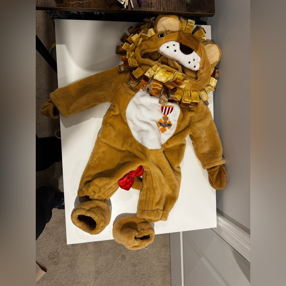 Adorable Lion Kids Costume